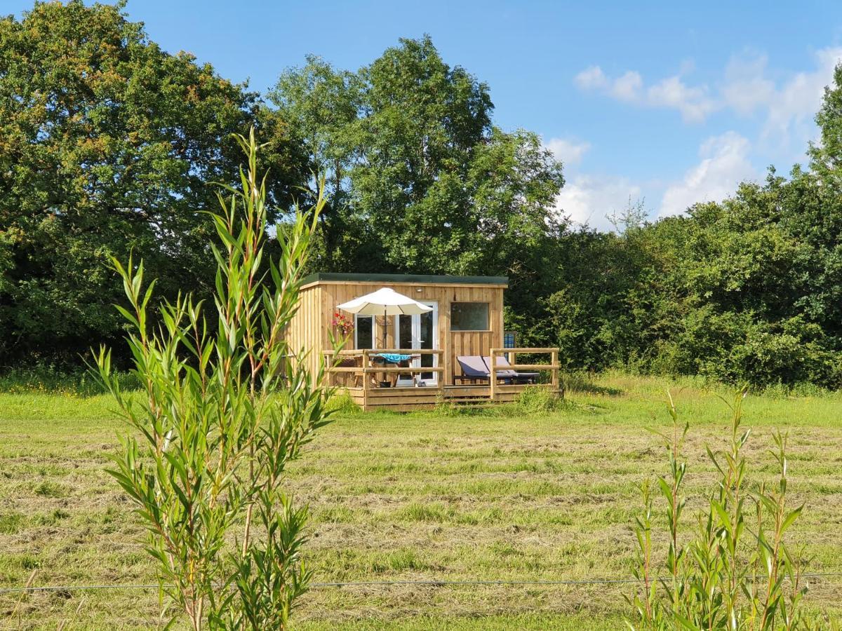 Dartmoor Reach Alpaca Farm Heated Cabins 5 Mins Drive To Dartmoor 보비트래시 외부 사진